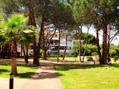 EN EXCLUSIVITE : Votre 2 Pièces avec terrasse au calme