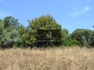 En Exclusivité :Terrain constructible de 2468m²