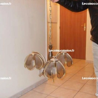 2 Lustres Plafonnier a  3 Appliques 2 Lustres Plafonnier a  3 Appliques