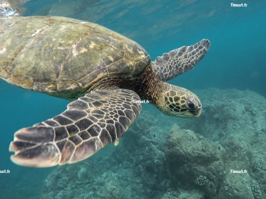 Atteignez vos objectifs avec seulement 2 heures par jour