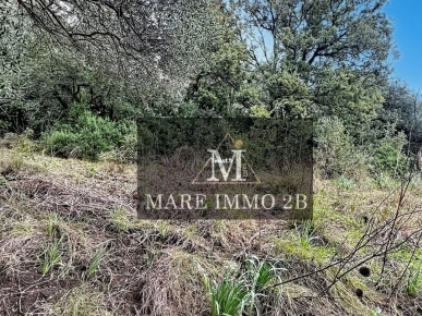 En Exclusivité :Terrain constructible de 2468m²