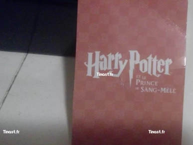 22€ HARRY POTTER LE JEU 1000 QUESTIONS ET DEFIS (Gallimard Jeunes