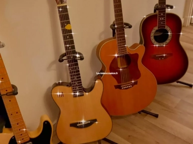 Guitare électro-acoustique parkwood Guitare électro-acoustique parkwood