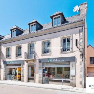 Immeuble 10 pièces 328 m² Immeuble 10 pièces 328 m²