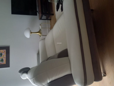 Canapé cuir Canapé cuir