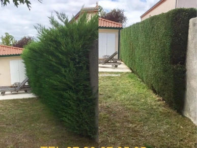 Entretiens, espaces verts Entretiens, espaces verts