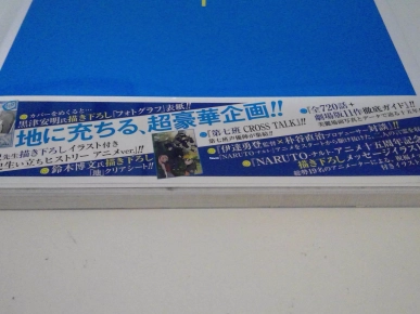 38€ Naruto The Animation Chronicle (en japonais)