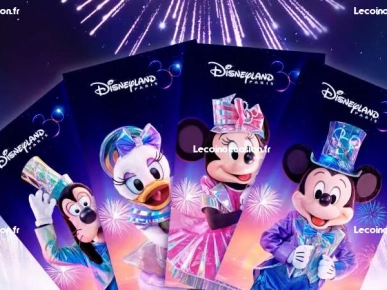 Pass DISNEY FLEX 1jr/2prcs Pass DISNEY FLEX 1jr/2prcs