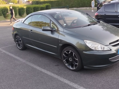 Feux arrières 307 cc