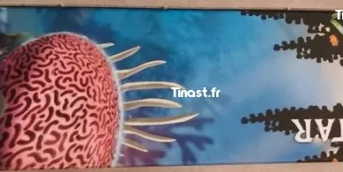 76 EURO Avatar Payakan, Tulkun Et Crabsuit 75579 Lego