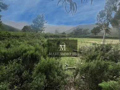 Terrain pied dans l'eau RARE sur le Marché