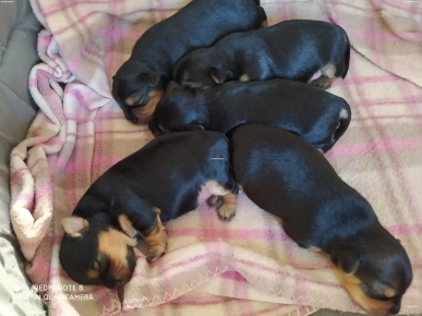 A réserver A réserver