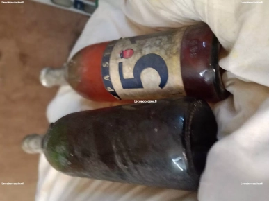 deux bouteilles wesky année 1981 un pastis et un pernod deux bouteilles wesky année 1981 un pastis et un pernod