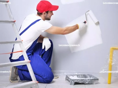 peintre pro peintre pro