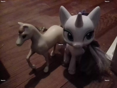 deux poney deux poney