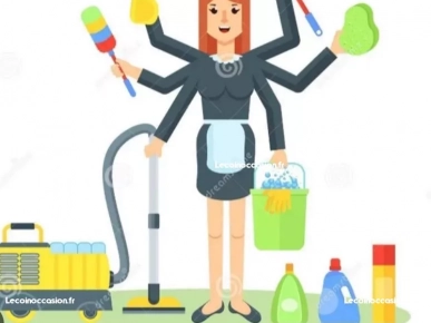 je suis femme de ménage je suis femme de ménage