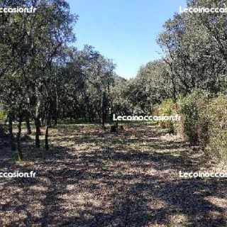 Vente terrain constructible sussargues 34160 Vente terrain constructible sussargues 34160