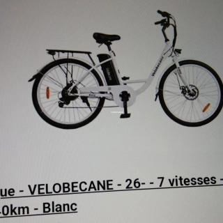 Vélo électrique à vendre
