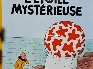 livre tintin livre tintin