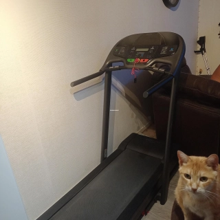 Tapis de course Tapis de course