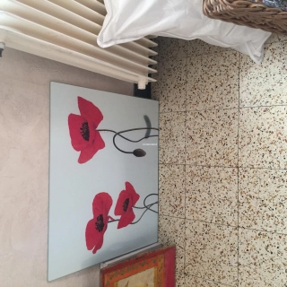 PLAQUE EN VERRE MOTIF COQUELICOTS PLAQUE EN VERRE MOTIF COQUELICOTS