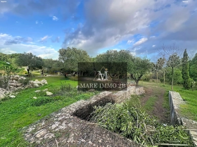 Terrain à Bâtir de 500m²