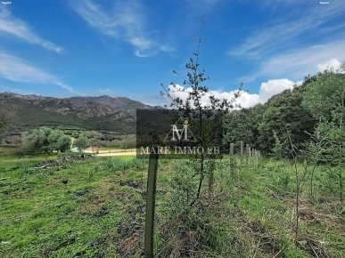 En Exclusivité :Terrain constructible de 2468m²