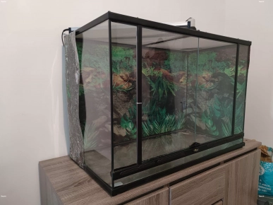 Terrarium et ses équipements