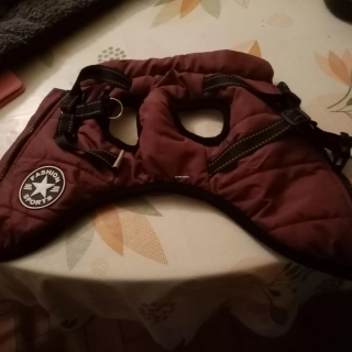 Vêtement petit chien Vêtement petit chien