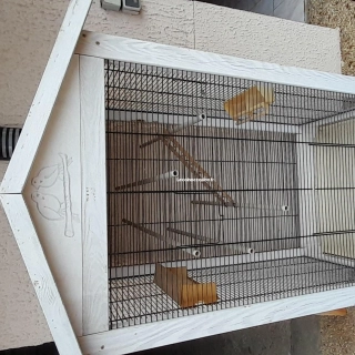 A vendre cage oiseau