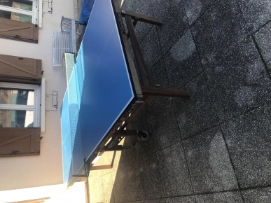 Table de tennis de table