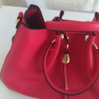 Sac tes lapidus Sac tes lapidus