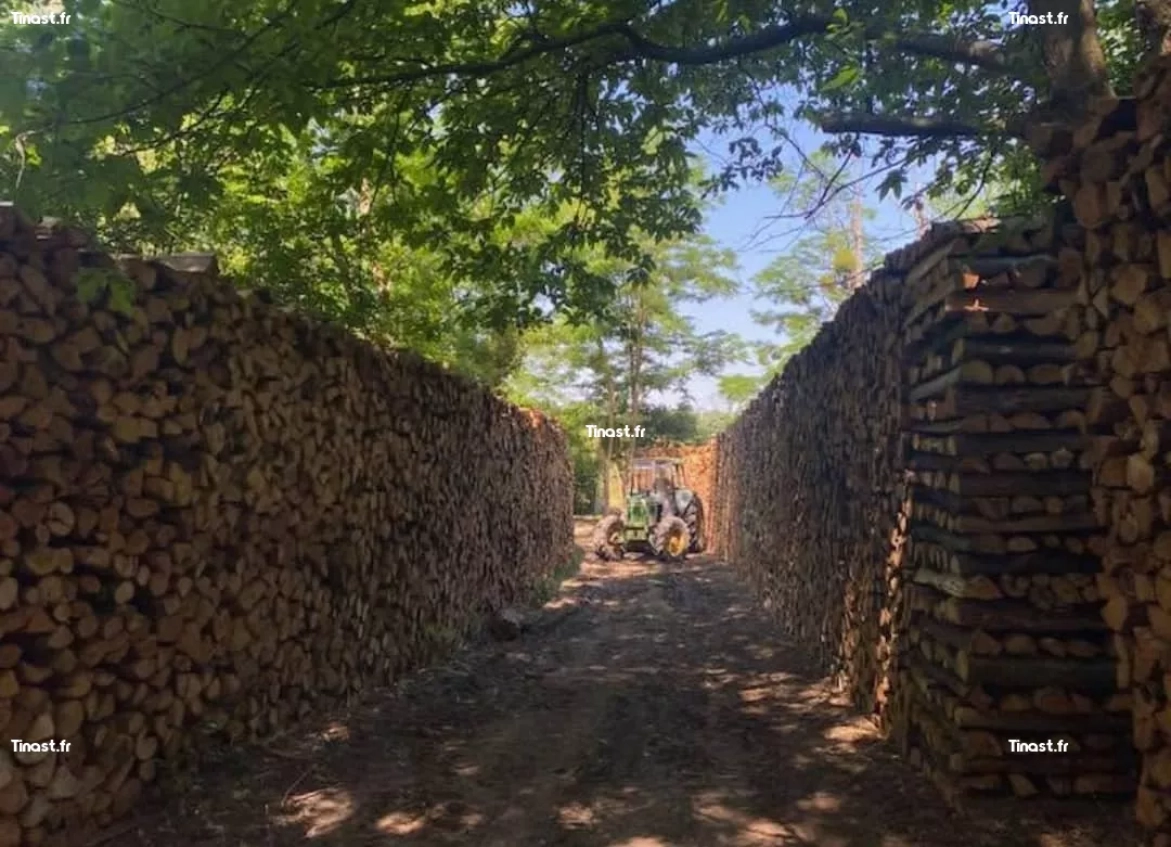 Bois de chauffage pour hiver