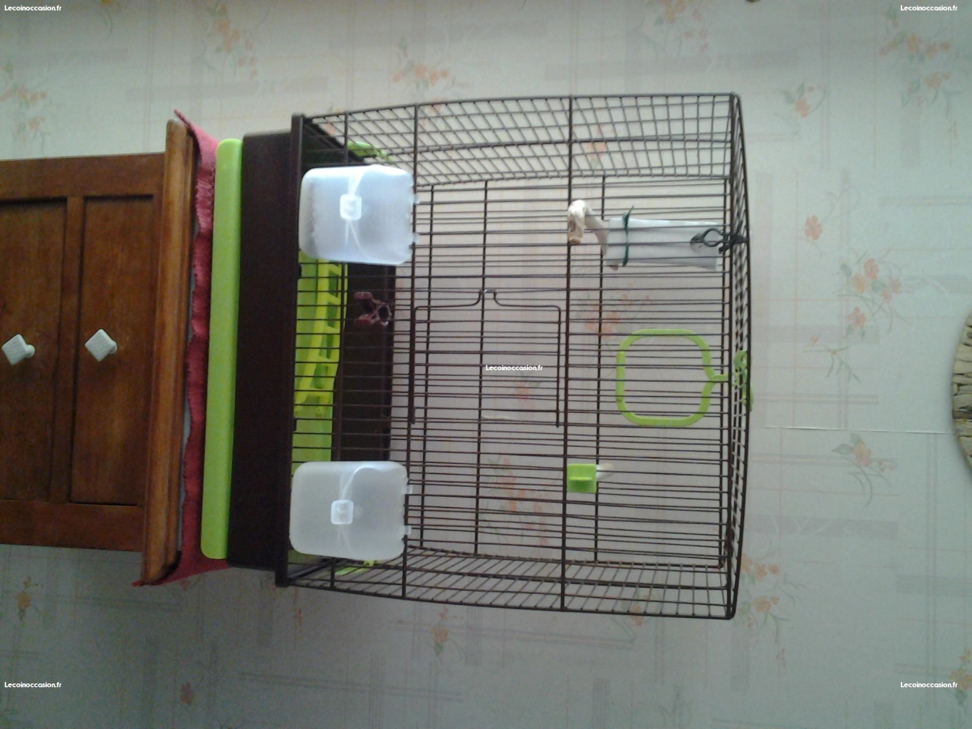 Petite cage oiseau