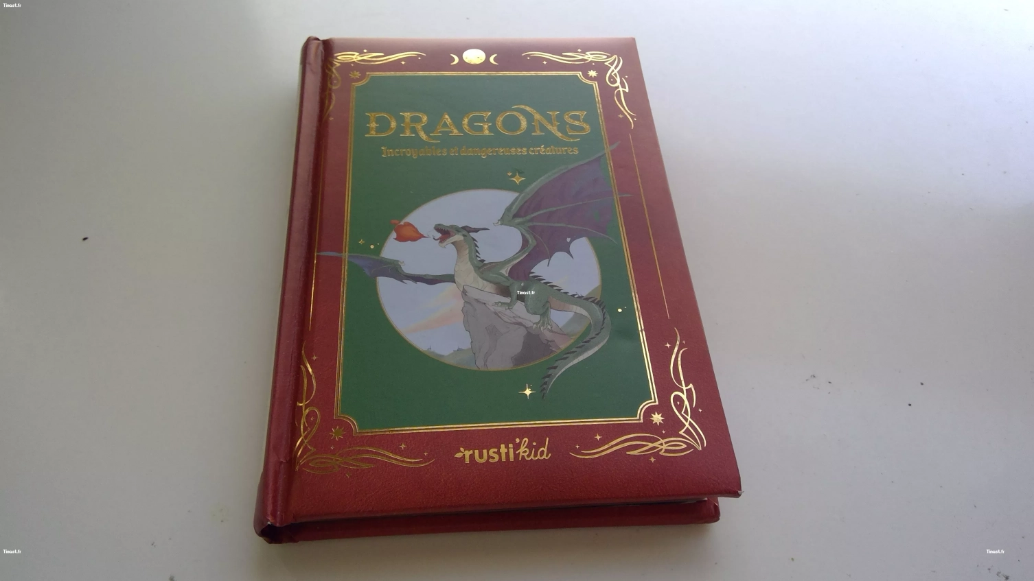 11€ Dragons (Sabine Boccador)