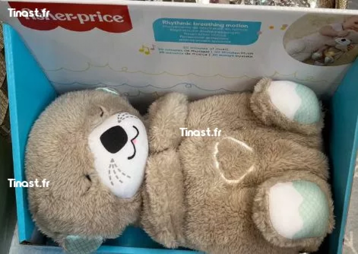 41€ Ma loutre calins (Fisher Price)