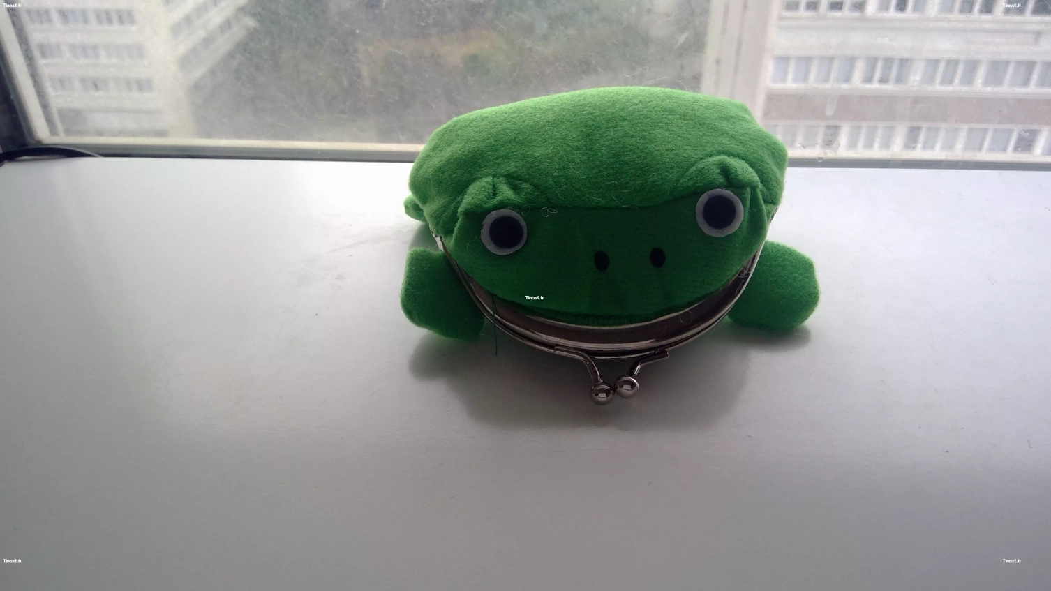 Porte monnaie grenouille