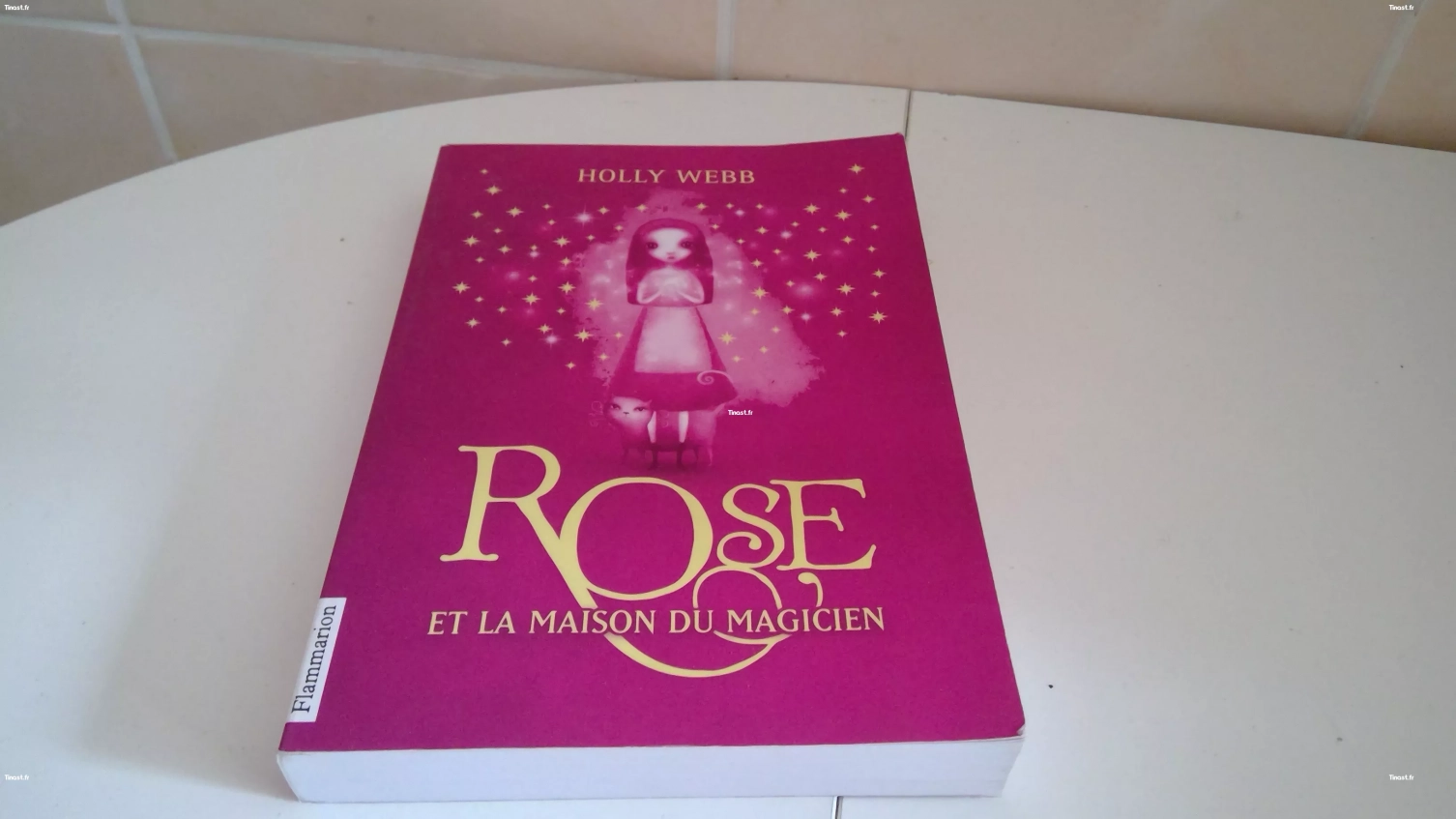 ROSE ET LA MAISON DU MAGICIEN (holly webb