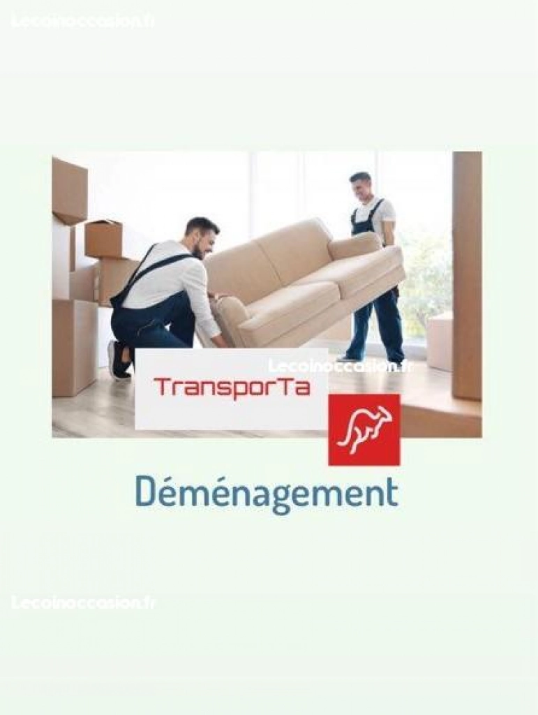 Déménagement et transport des biens