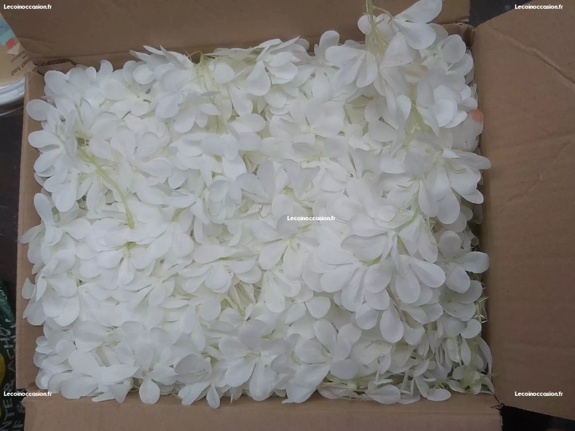 les fleurs blanches