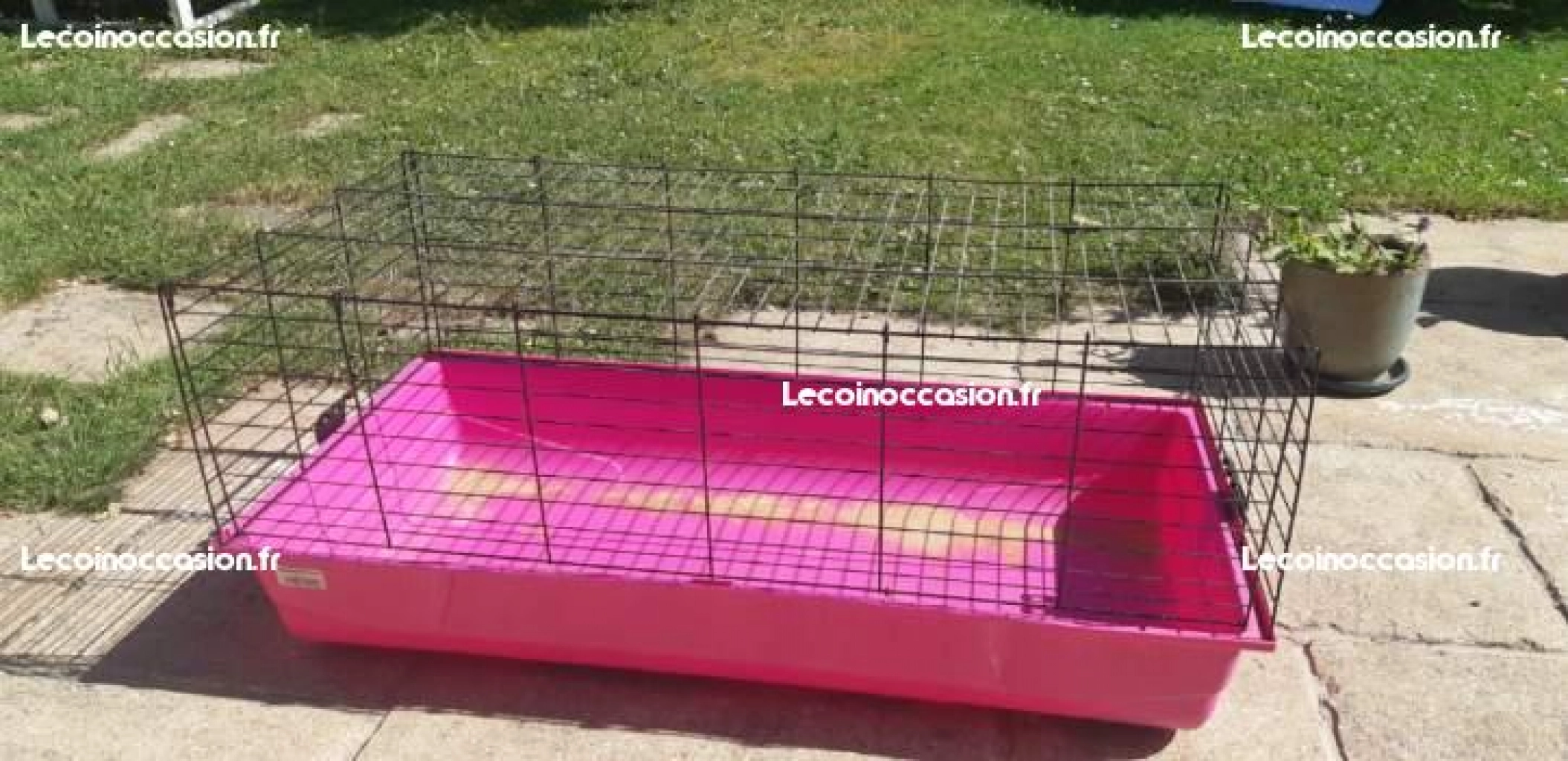 Cage pour lapin et accessoires