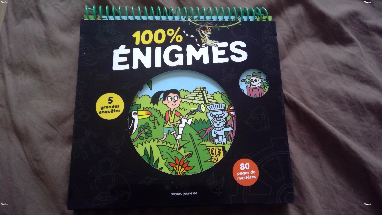 100% ENIGMES (Bayard Jeunesse)