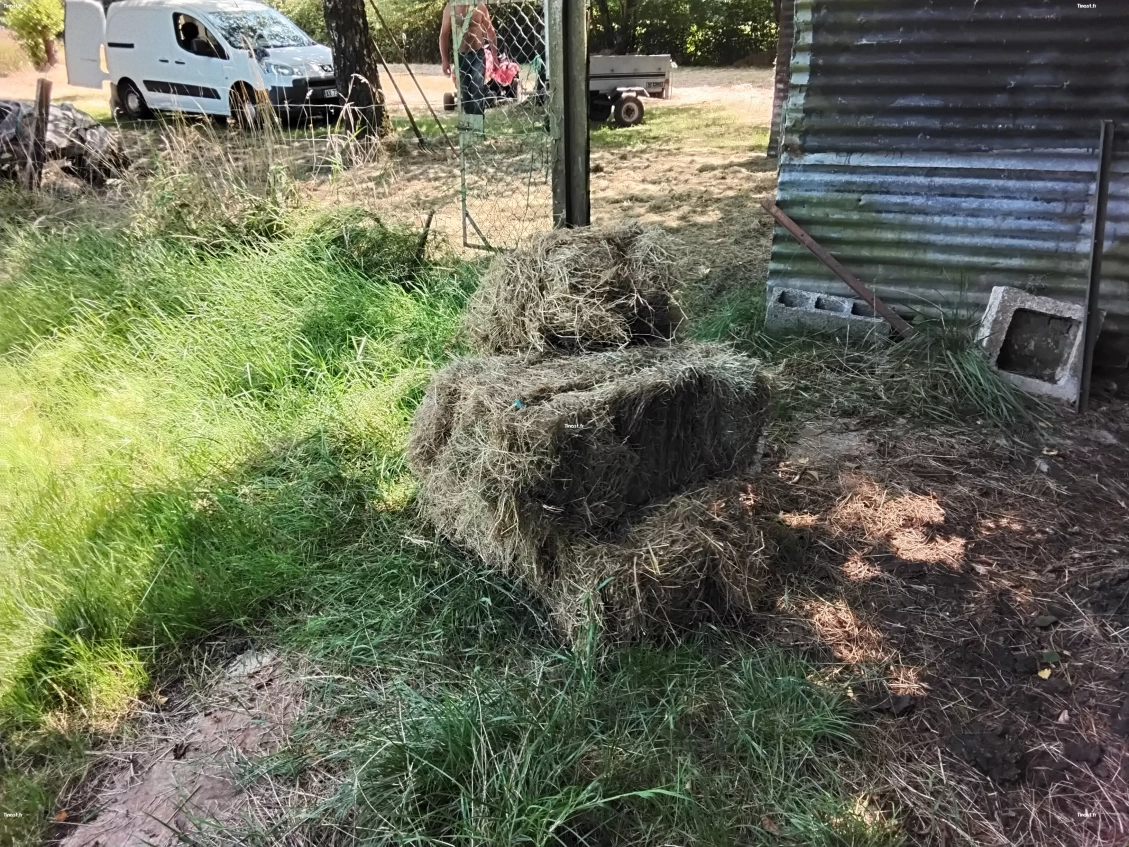 Vend ballots de foin environ 20kg