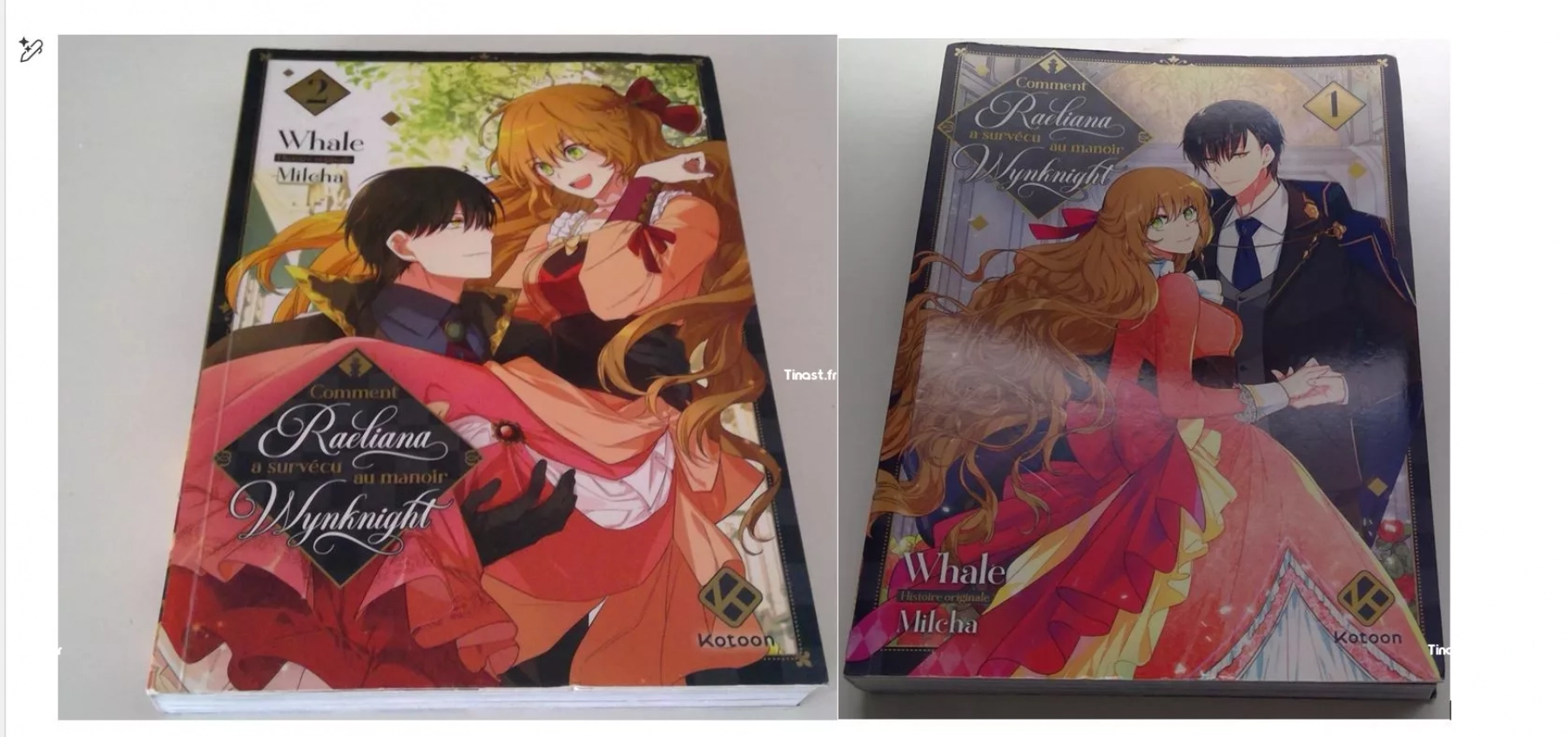 13€ Comment Raeliana a survécu au manoir Wynknight