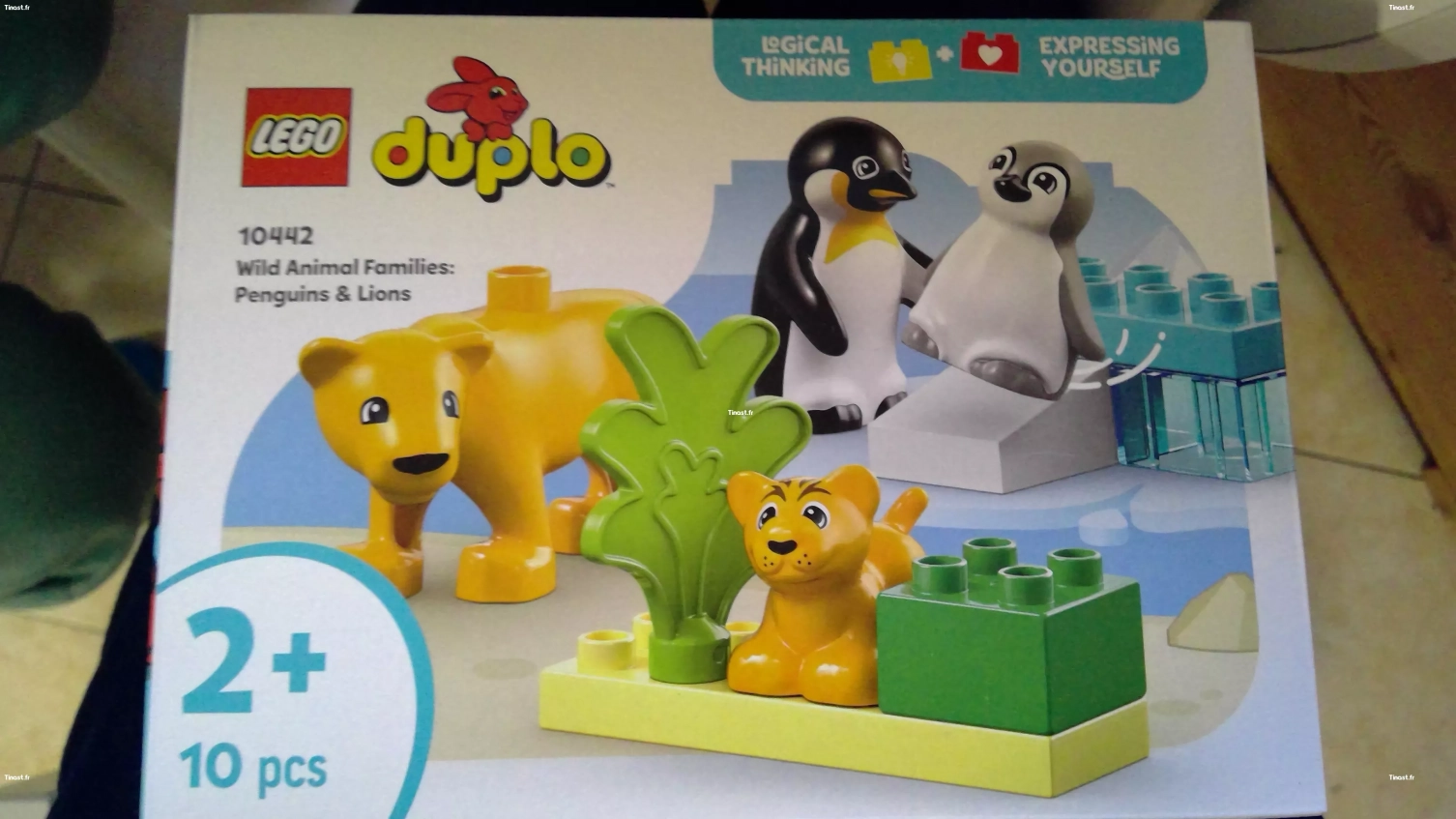 Famille d'animaux Duplo