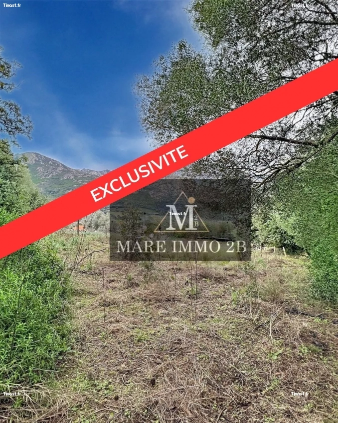 En Exclusivité :Terrain constructible de 2468m²