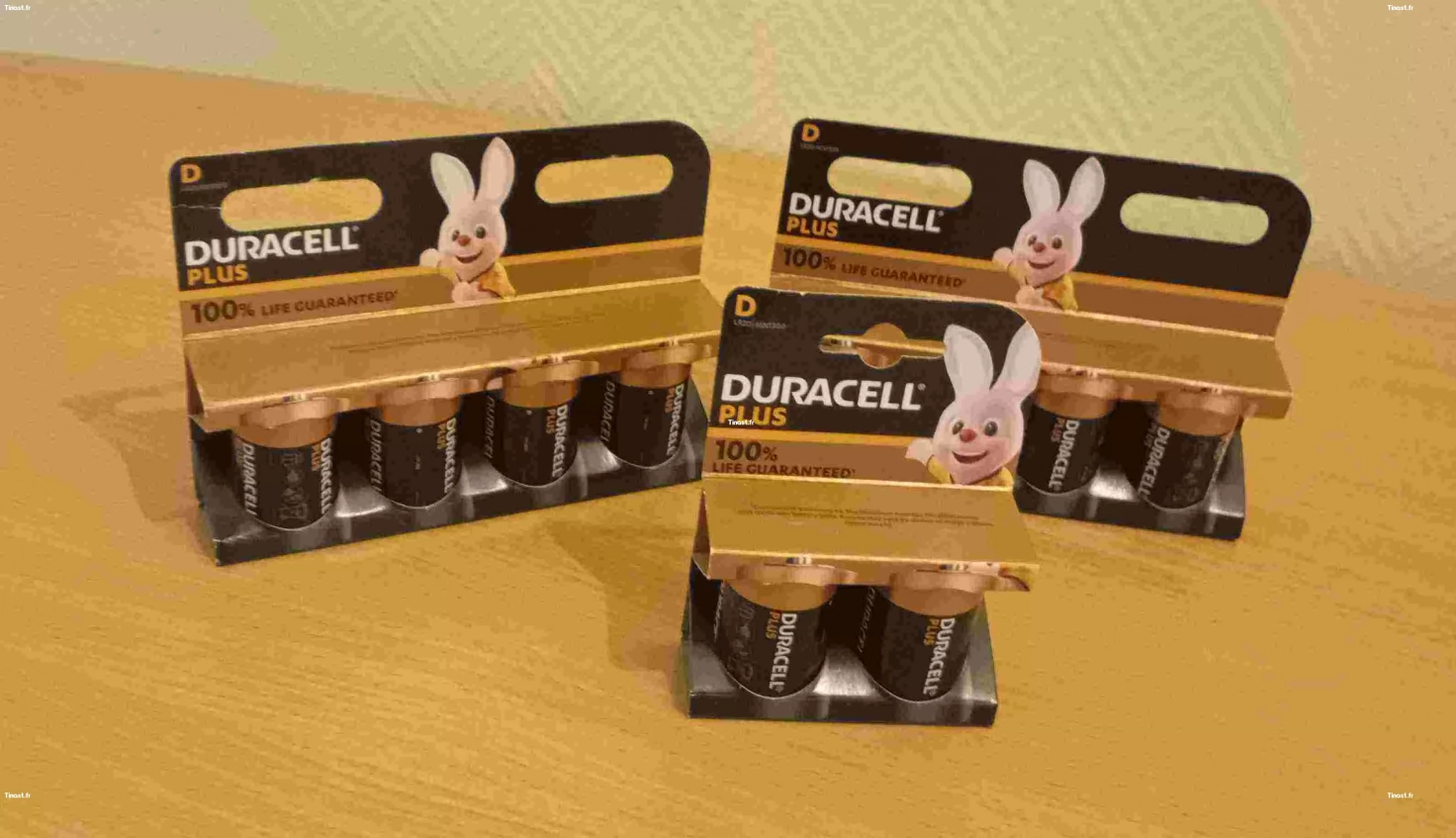 Lot 10 Piles Duracell modèle   LR20