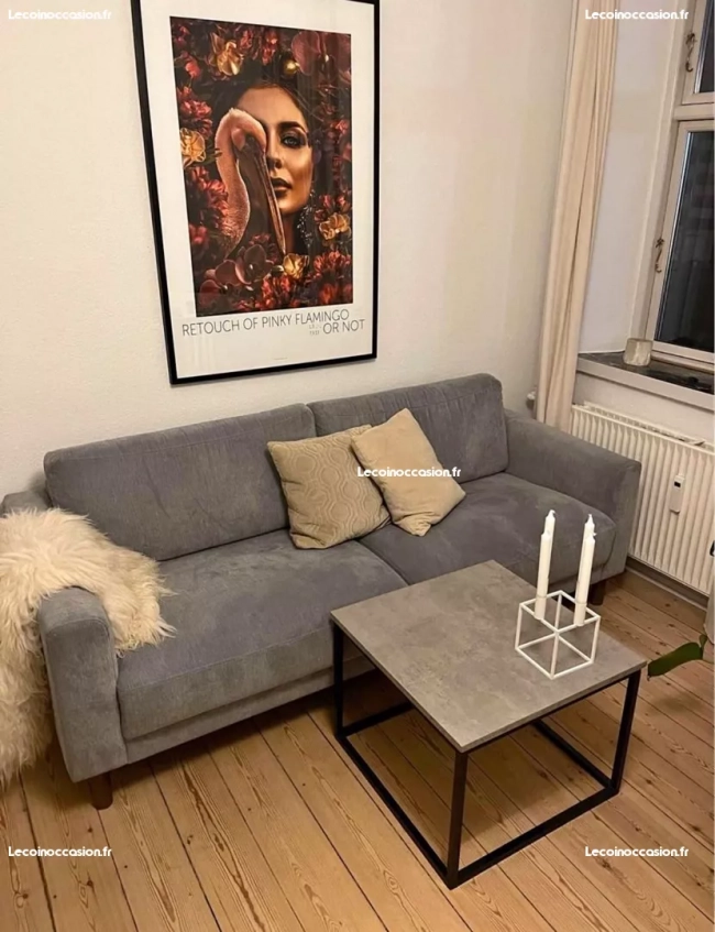 Canapé En Bonne état