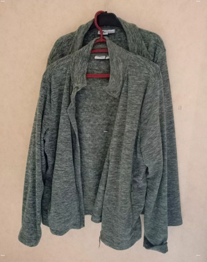 2 Gilets polaires fins gris clair