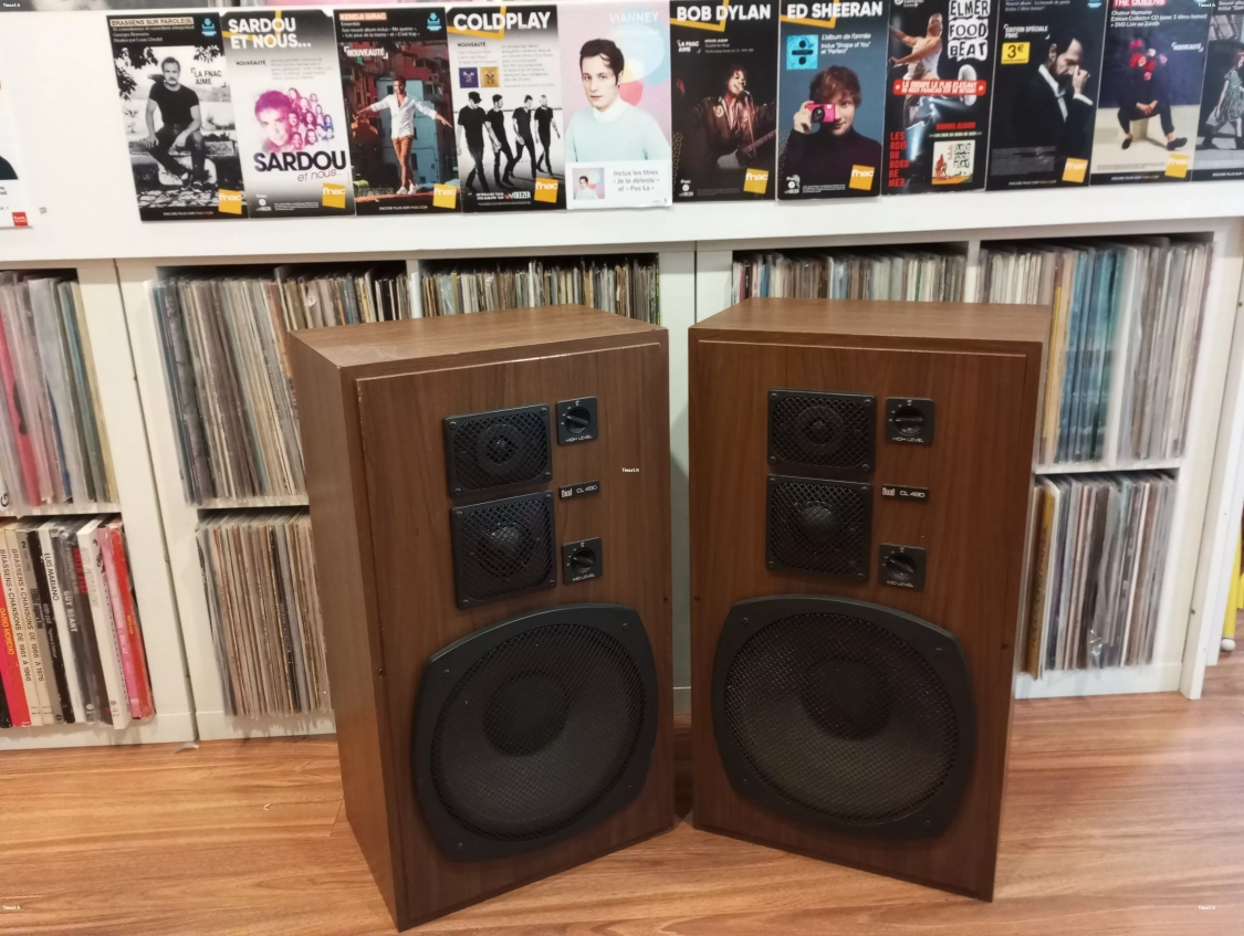 Enceintes DUAL CL 490